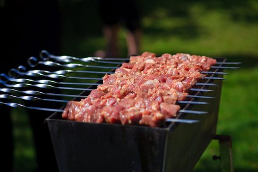 Kebabs cooking on the gril on fresh air