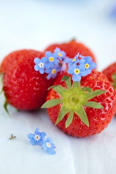 Three strawberries with small forget me not flowers