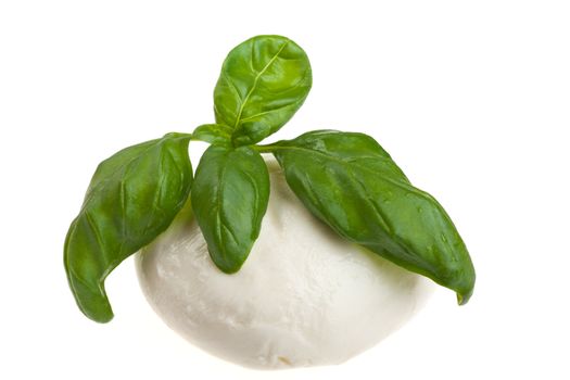 mozzarella cheese