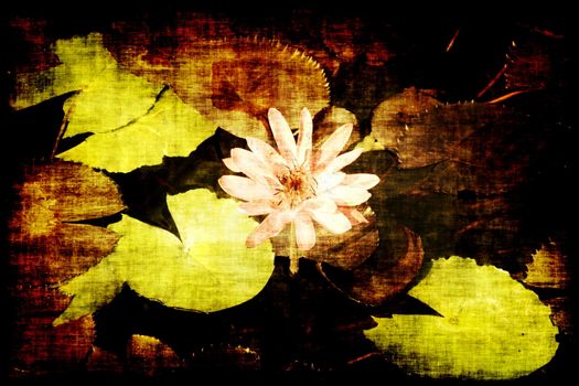 Soothing Zen Abstract as a Nature Background