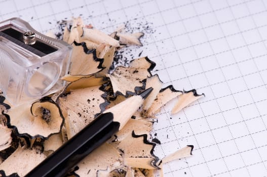 The black pencil and wood shavings background