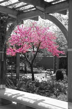 Colorful flowers framed by an arch in a selective color image.