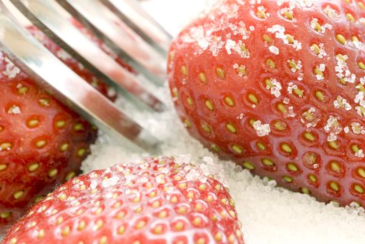 ripe red strawberries covered in sugar granules