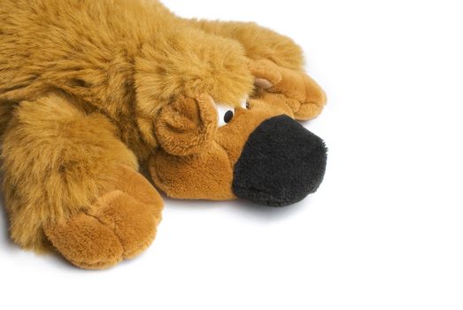 Head part and paws of the red toy bear with big eyes isolaten on white background
