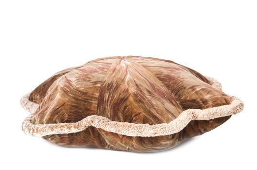 one pillow with arts over white background