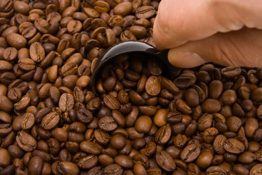 Roasted grains of fragrant black coffee