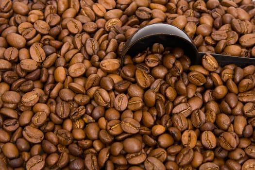 Roasted grains of fragrant black coffee