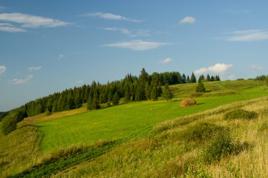 Beautiful summer landscape. The nature.