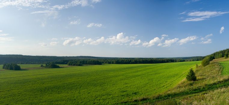 Beautiful summer landscape. The nature. Panorama