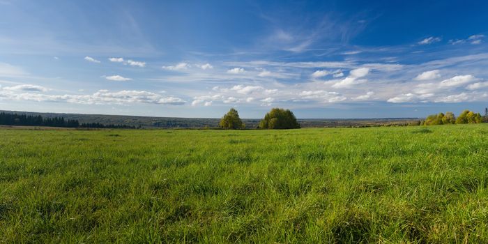 Beautiful summer landscape. The nature. Panorama