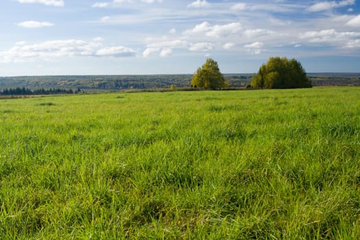 Beautiful summer landscape. The nature.
