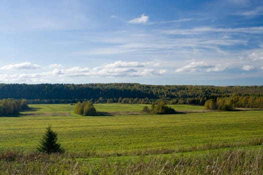 Beautiful summer landscape. The nature.