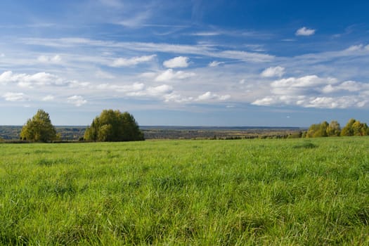 Beautiful summer landscape. The nature.