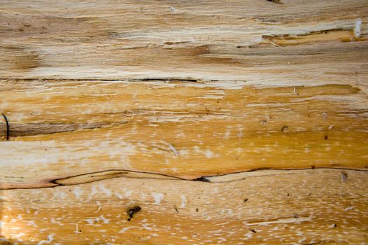 Texture from an old board
