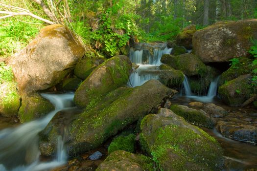 Small falls in a wood. Landscape.