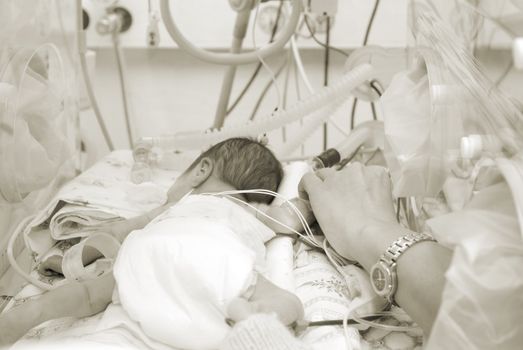 Hand of the physician and newborn in incubator  in hospital