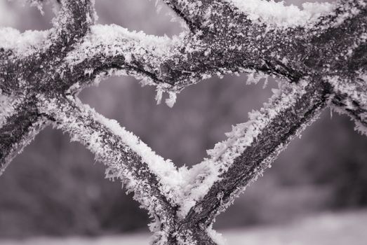 Frozenned heart -valentine..freezing patterns on metal.monochrome