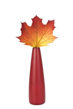 single autumn maple leaf in a red vase