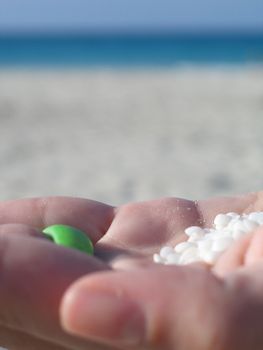 white tiny shell in the palm of a hand