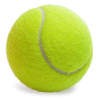 Tennis Ball isolated on the white background