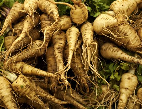 A heap of fresh parsnip Photo taken on: May 15th, 2010