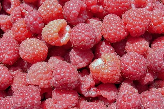 Background of the fresh red raspberries, summer shot