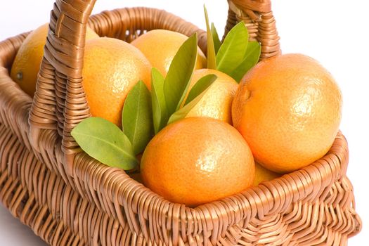 Basket with clementines isolated on white background