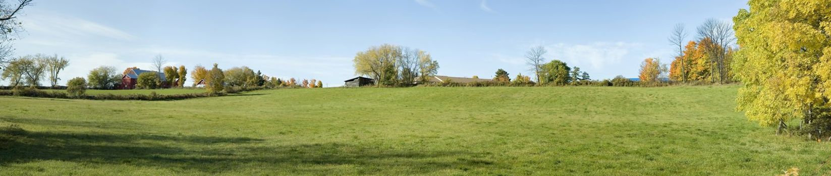 Country side panoramic landscape with grass and trees 