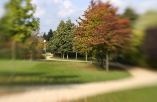 beautiful color effect of the blurred background lensbaby