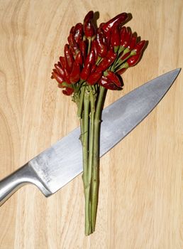 close up shot of garlic and chili pepper ingredients