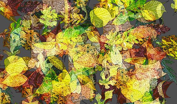 great creative abstract color rich textured, bright image of autumn foliage.