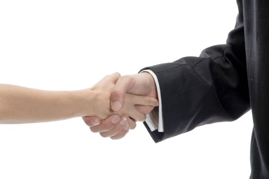 business shake hands against white background