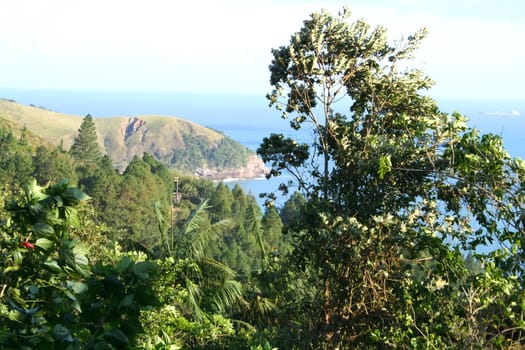 Coast of Prumirim, Sao Paulo, Brazil