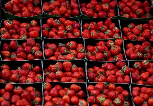 Boxes of strawberries on display at a street stall