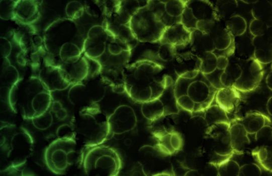 Green Microscopic Cell Organisms as an Abstract