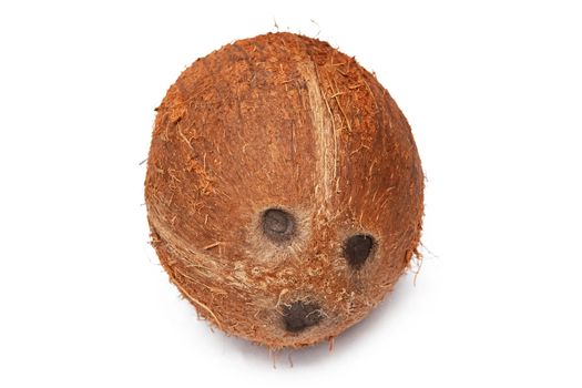 A coconut on the white background