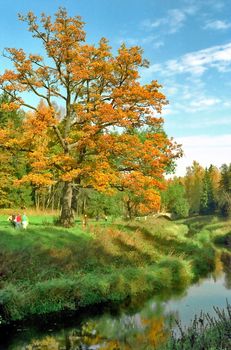 At the riverside in the autumn park