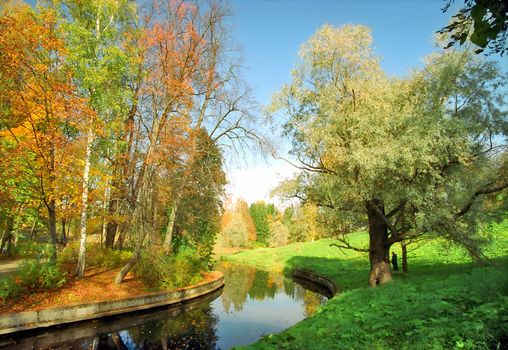 Autumn trees near the river in the park