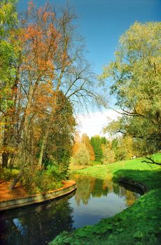 Autumn trees near the river in the park