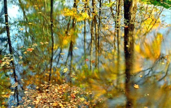 Fall and reflections in water