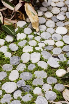 it is a stone path in a garden 
