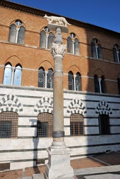 Like Rome also Siena has his legend. The legeng tells that two twins, Senio and Aschio, neohewes of Remo, escaped from Rome with a sculpture of a she wolf, symbol of Rome and founded Siena. Siena has many monuments dedicated to this legend