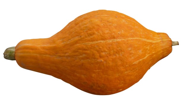 Orange Pumpkin isolated with clipping path