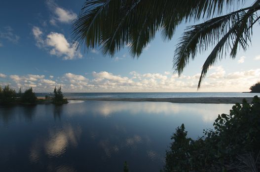 Tropical Sunset with Palm Trees and clouds.