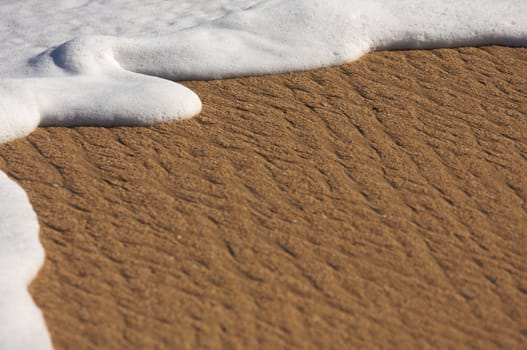 Tropical Sand and Sea Foam