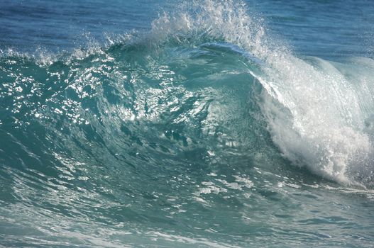 Dramatic Shorebreak Wave on a clear morning.
