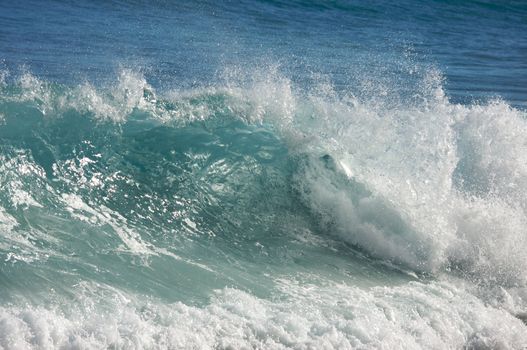 Dramatic Shorebreak Wave on a clear morning.