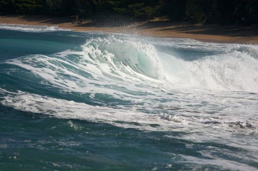 Dramatic Shorebreak Wave on a clear morning.