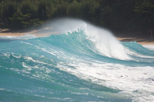 Dramatic Shorebreak Wave on a clear morning.