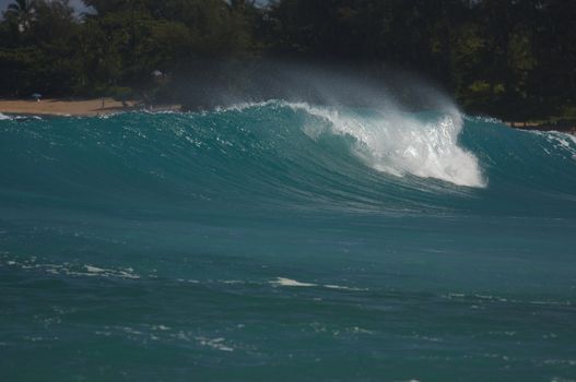 Dramatic Shorebreak Wave on a clear morning.